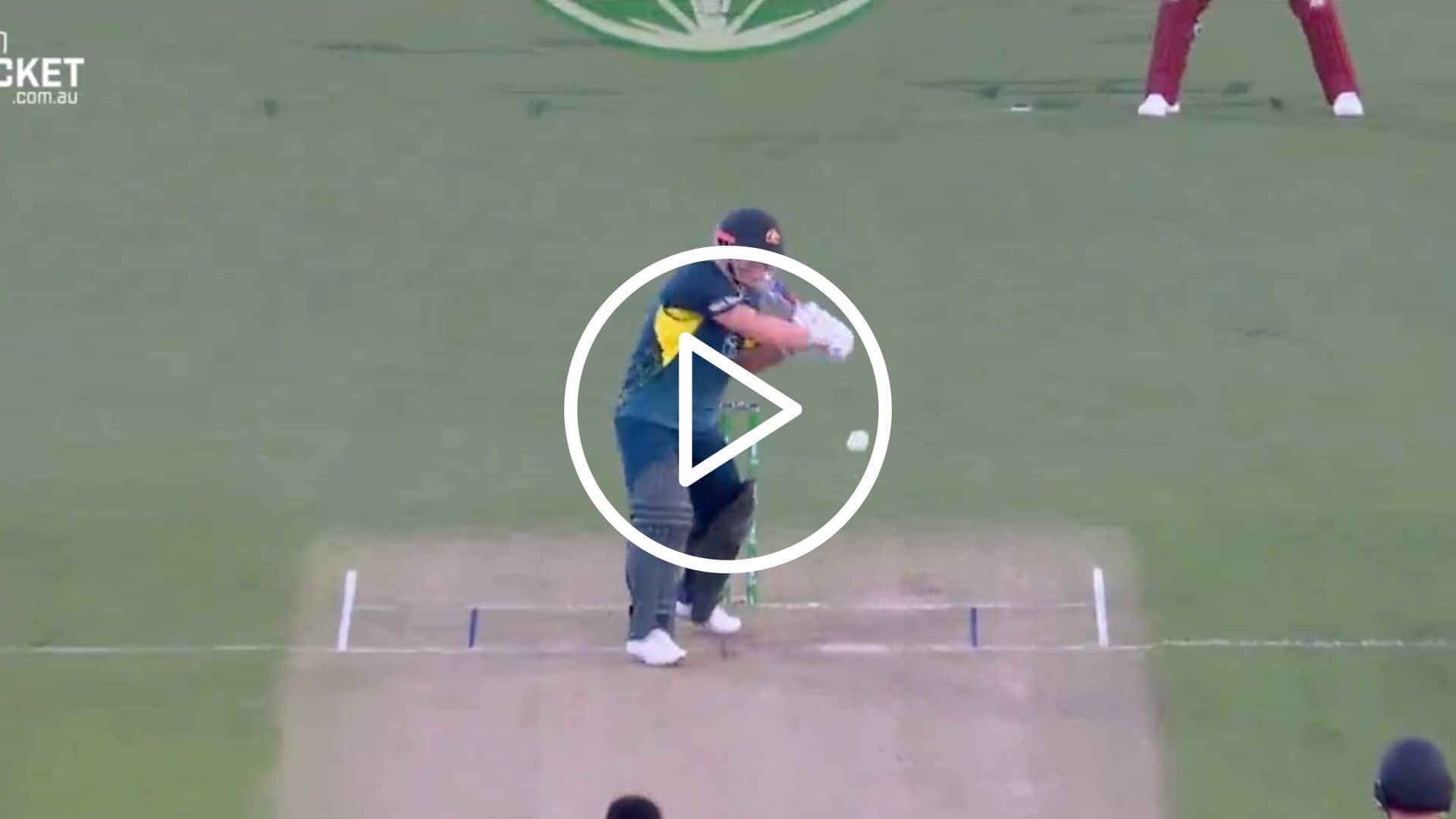 [Watch] David Warner Thrashes West Indies With A Stunning 22-Ball Fifty